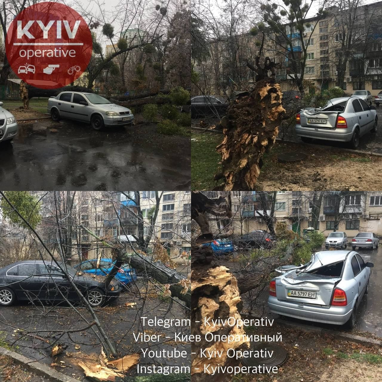 Падіння дерева на бул. Перова. Фото: Київ оперативний