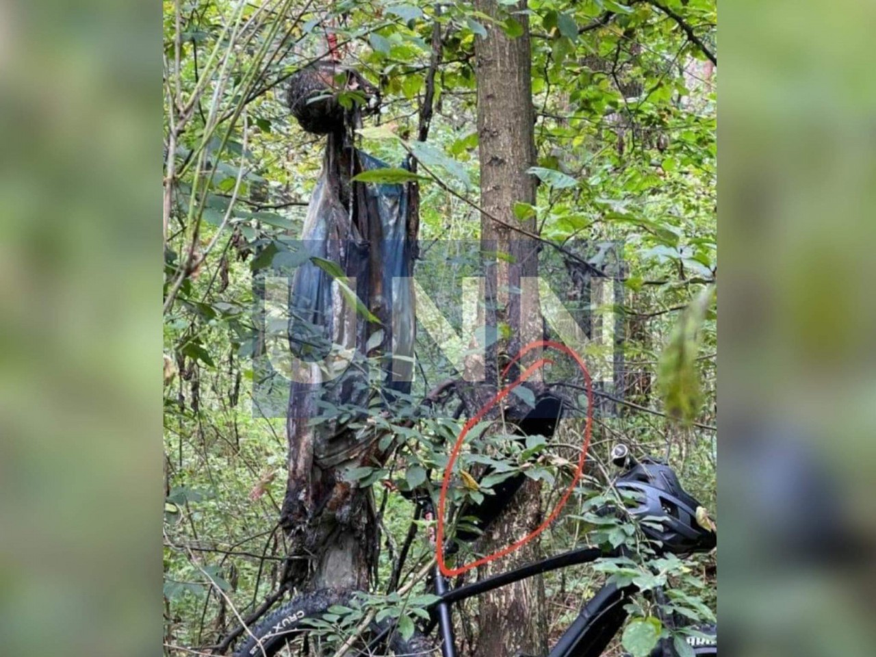 Тіло зниклого хлопця виявили на дереві
