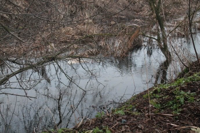 Річка Козка, в якій знайшли тіло Ноздровської. Фото УП