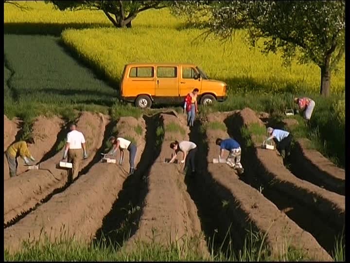 Польські фермери побоюються за наступний врожай, якщо українці поїдуть до ФРН
