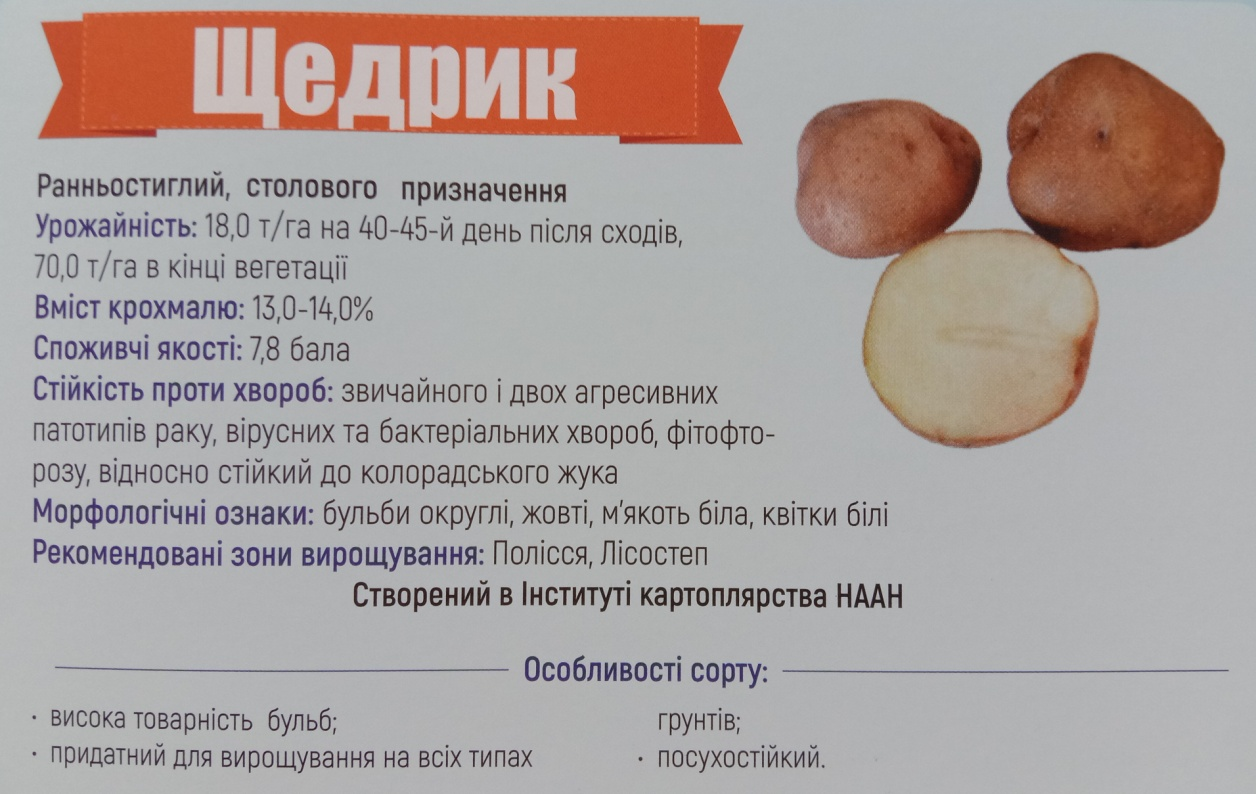 ілюстрація: «Каталог сортів картоплі» видання Інституту картоплярства НААНУ