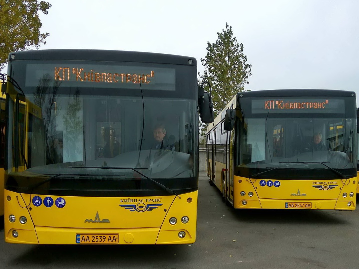 Україна масово закуповує білоруські автобуси