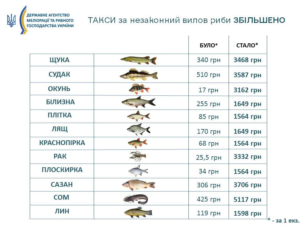Графіка: Державне агентство меліорації та рибного господарства України