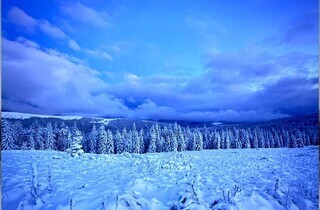 Краєвиди, від яких перехоплює подих. Прикордонники показали засніжені рубежі України