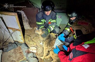 Ракетний удар по Кривому Розі: є загиблі та багато руйнувань (фото)