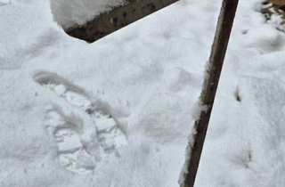 Казкове місто. Фоторепортаж зі Львова