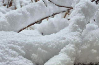 Казкове місто. Фоторепортаж зі Львова