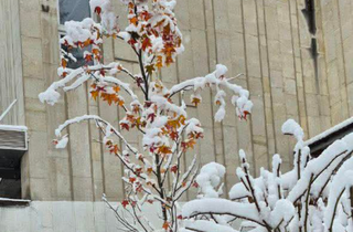 Казкове місто. Фоторепортаж зі Львова
