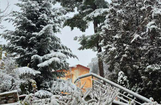 Казкове місто. Фоторепортаж зі Львова