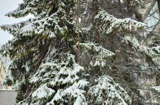 Казкове місто. Фоторепортаж зі Львова