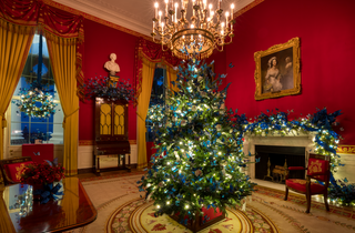 Понад 50 ялинок та 200 м гірлянд. Меланія Трамп прикрасила Білий дім до Різдва