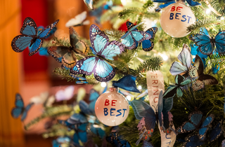 Понад 50 ялинок та 200 м гірлянд. Меланія Трамп прикрасила Білий дім до Різдва