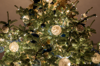 Понад 50 ялинок та 200 м гірлянд. Меланія Трамп прикрасила Білий дім до Різдва