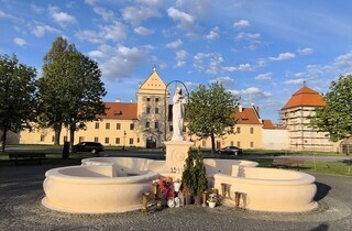 На Львівщині вандали понівечили фігуру Матері Божої (фото)