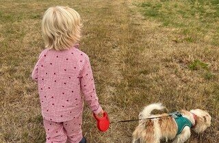 Дружина Бориса Джонсона показала, як їхній шестирічний син став схожим на батька (фото)