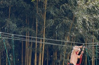 Дружина Бориса Джонсона показала, як їхній шестирічний син став схожим на батька (фото)