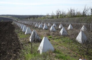 Україна посилює оборону на придністровському напрямку