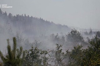 Спека під 50°C та сотні рятувальників: у Чорнобильській зоні триває гасіння пожежі (фото)