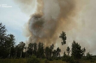 Спека під 50°C та сотні рятувальників: у Чорнобильській зоні триває гасіння пожежі (фото)