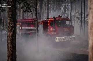Спека під 50°C та сотні рятувальників: у Чорнобильській зоні триває гасіння пожежі (фото)