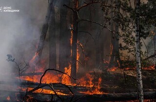 Спека під 50°C та сотні рятувальників: у Чорнобильській зоні триває гасіння пожежі (фото)