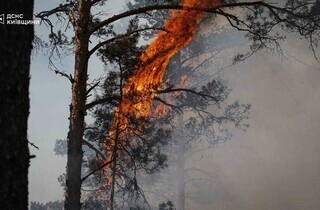 Спека під 50°C та сотні рятувальників: у Чорнобильській зоні триває гасіння пожежі (фото)