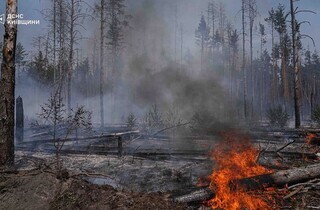Спека під 50°C та сотні рятувальників: у Чорнобильській зоні триває гасіння пожежі (фото)