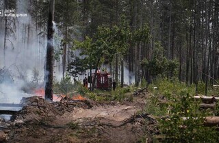 Спека під 50°C та сотні рятувальників: у Чорнобильській зоні триває гасіння пожежі (фото)