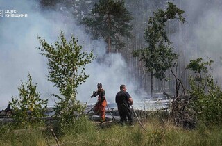 Спека під 50°C та сотні рятувальників: у Чорнобильській зоні триває гасіння пожежі (фото)