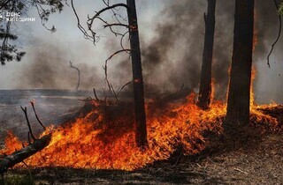 Спека під 50°C та сотні рятувальників: у Чорнобильській зоні триває гасіння пожежі (фото)