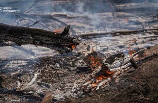 Спека під 50°C та сотні рятувальників: у Чорнобильській зоні триває гасіння пожежі (фото)