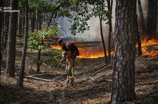 Спека під 50°C та сотні рятувальників: у Чорнобильській зоні триває гасіння пожежі (фото)