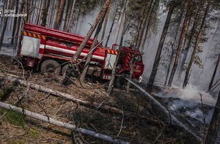 Спека під 50°C та сотні рятувальників: у Чорнобильській зоні триває гасіння пожежі (фото)
