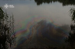 Гинуть риба, птахи та комахи. У Києві рятувальники очищають озеро, в яке після російської атаки потрапило паливо