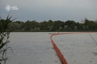 Гинуть риба, птахи та комахи. У Києві рятувальники очищають озеро, в яке після російської атаки потрапило паливо