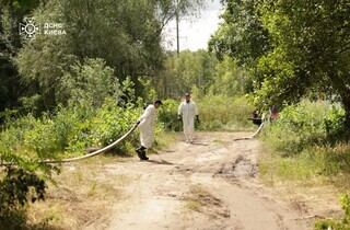 Гинуть риба, птахи та комахи. У Києві рятувальники очищають озеро, в яке після російської атаки потрапило паливо