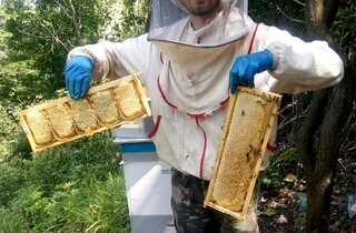 Від пасічника до начальника розвідки. Згадаймо Андрія Павлюка