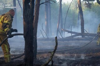 На Київщині досі палає ліс: до гасіння масштабної пожежі залучили авіацію ДСНС