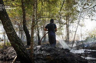 На Київщині досі палає ліс: до гасіння масштабної пожежі залучили авіацію ДСНС
