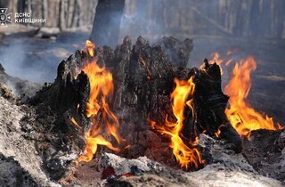 На Київщині досі палає ліс: до гасіння масштабної пожежі залучили авіацію ДСНС