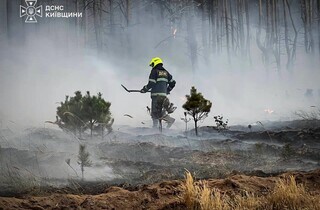 На Київщині досі палає ліс: до гасіння масштабної пожежі залучили авіацію ДСНС