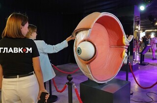 «Тіло людини». У Києві відкрилася масштабна інтерактивна виставка (фоторепортаж)