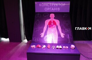 «Тіло людини». У Києві відкрилася масштабна інтерактивна виставка (фоторепортаж)