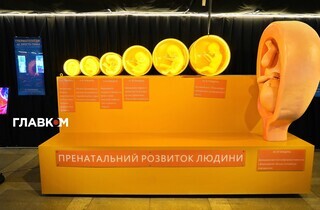 «Тіло людини». У Києві відкрилася масштабна інтерактивна виставка (фоторепортаж)