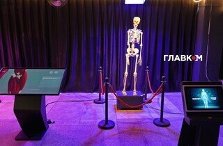 «Тіло людини». У Києві відкрилася масштабна інтерактивна виставка (фоторепортаж)