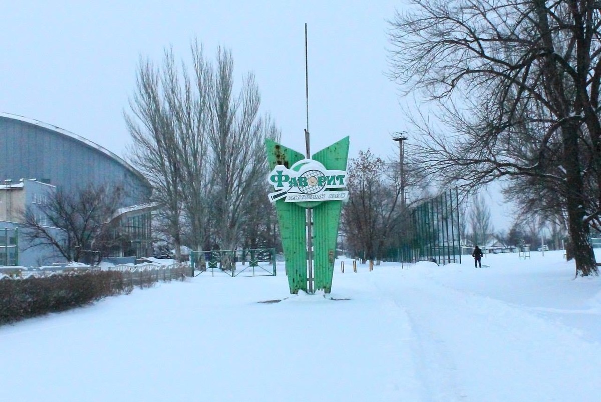 Біль та порожнеча. Як зараз виглядає стадіон «Зорі» в окупованому Луганську (фото)
