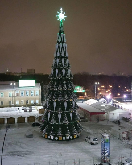 Ели в городе фото