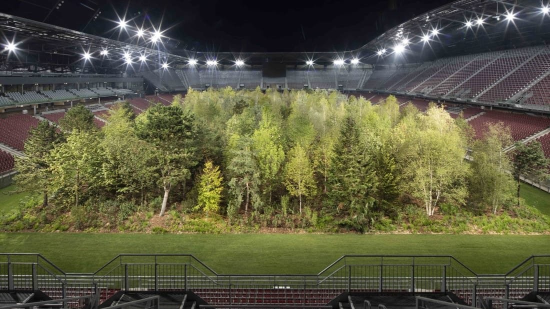 Уникальная художественная инсталляция: стадион превратили в лес. Фото