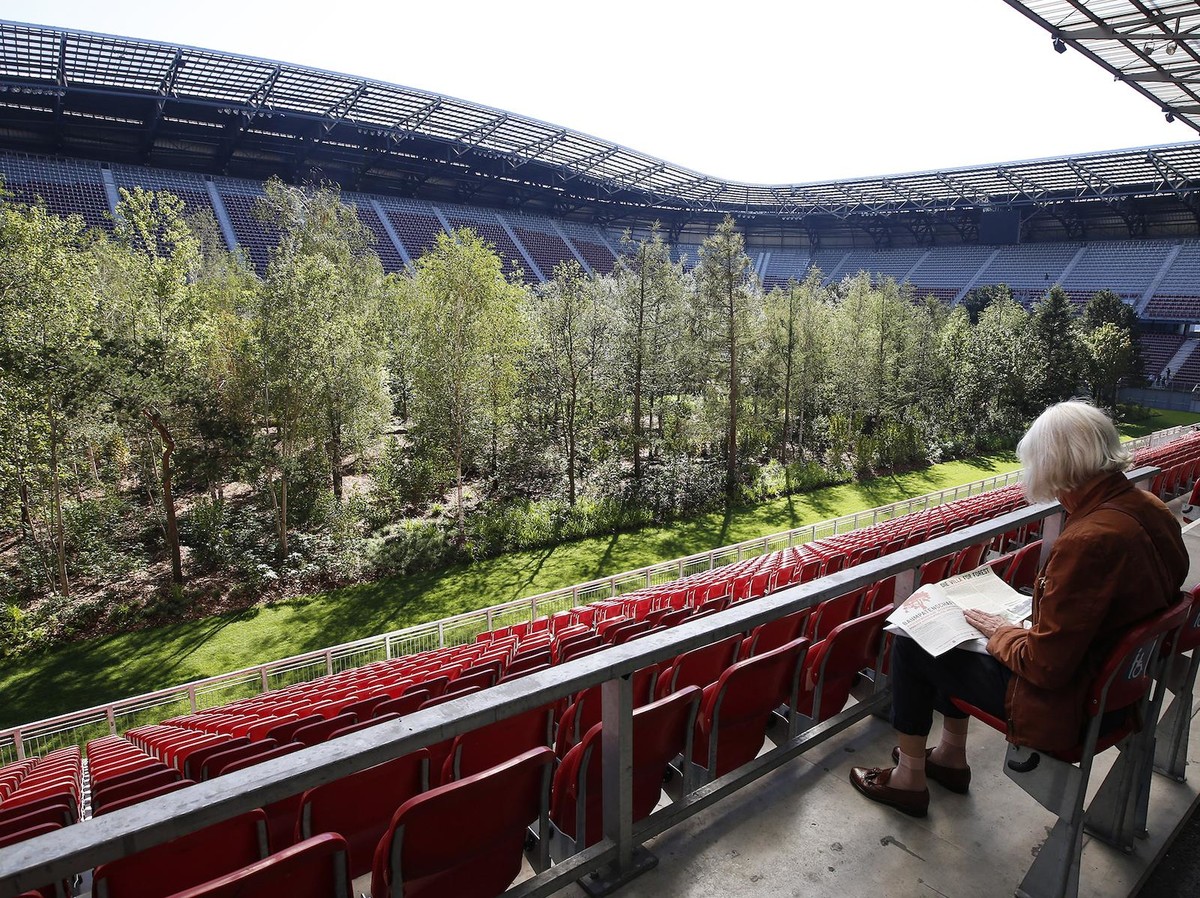 Уникальная художественная инсталляция: стадион превратили в лес. Фото