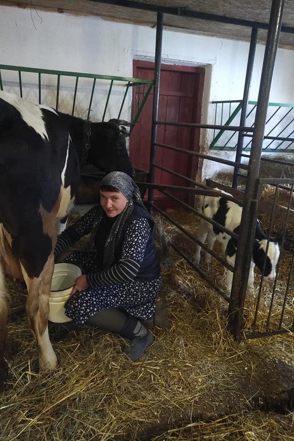 Ексдепутатка біля корів: Надія Савченко показала, чим займається після відходу від великої політики ФОТО